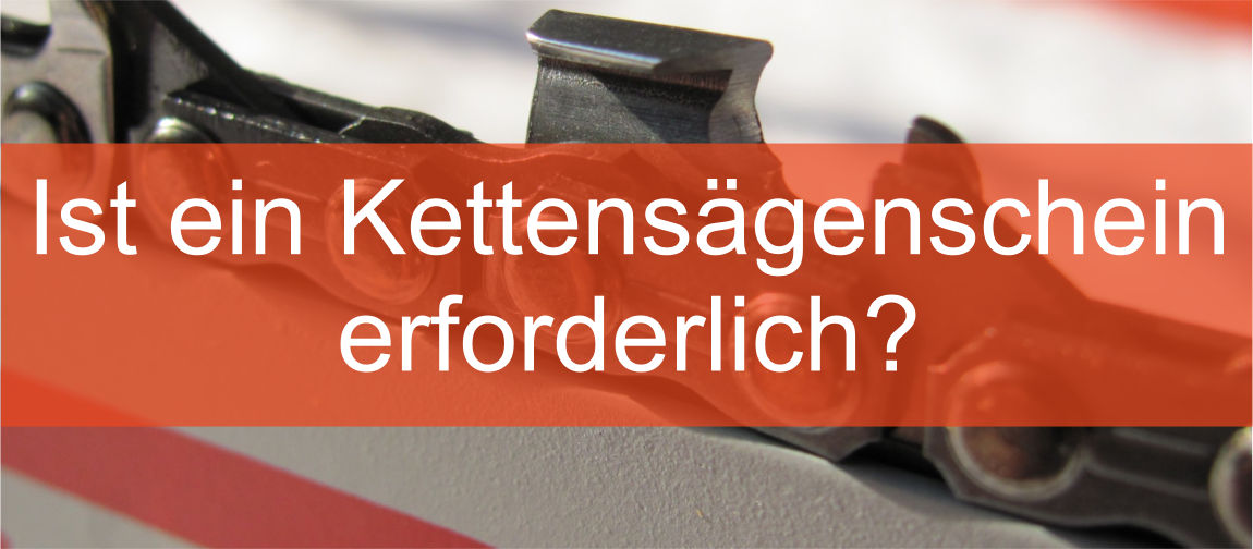 Kettensagenschein Ab 16