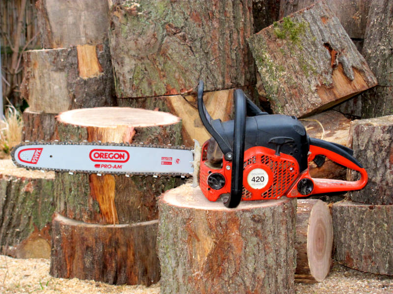 Brennholz sägen mit Kettensäge › Kettensäge Ratgeber