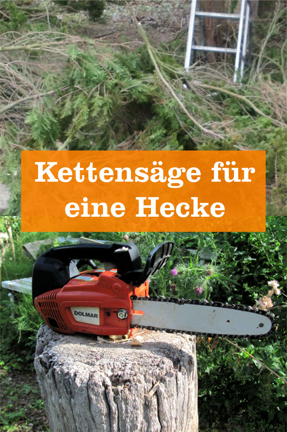 Kettensge fr eine Hecke - Kettensge Ratgeber