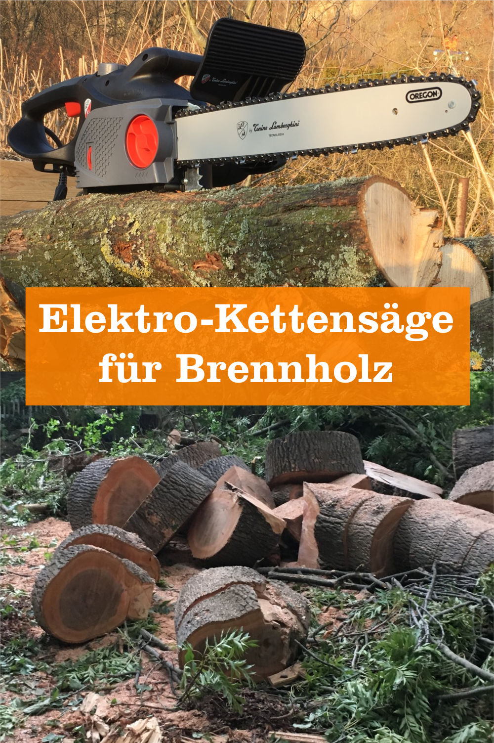 Elektro-Kettensägen für Brennholz